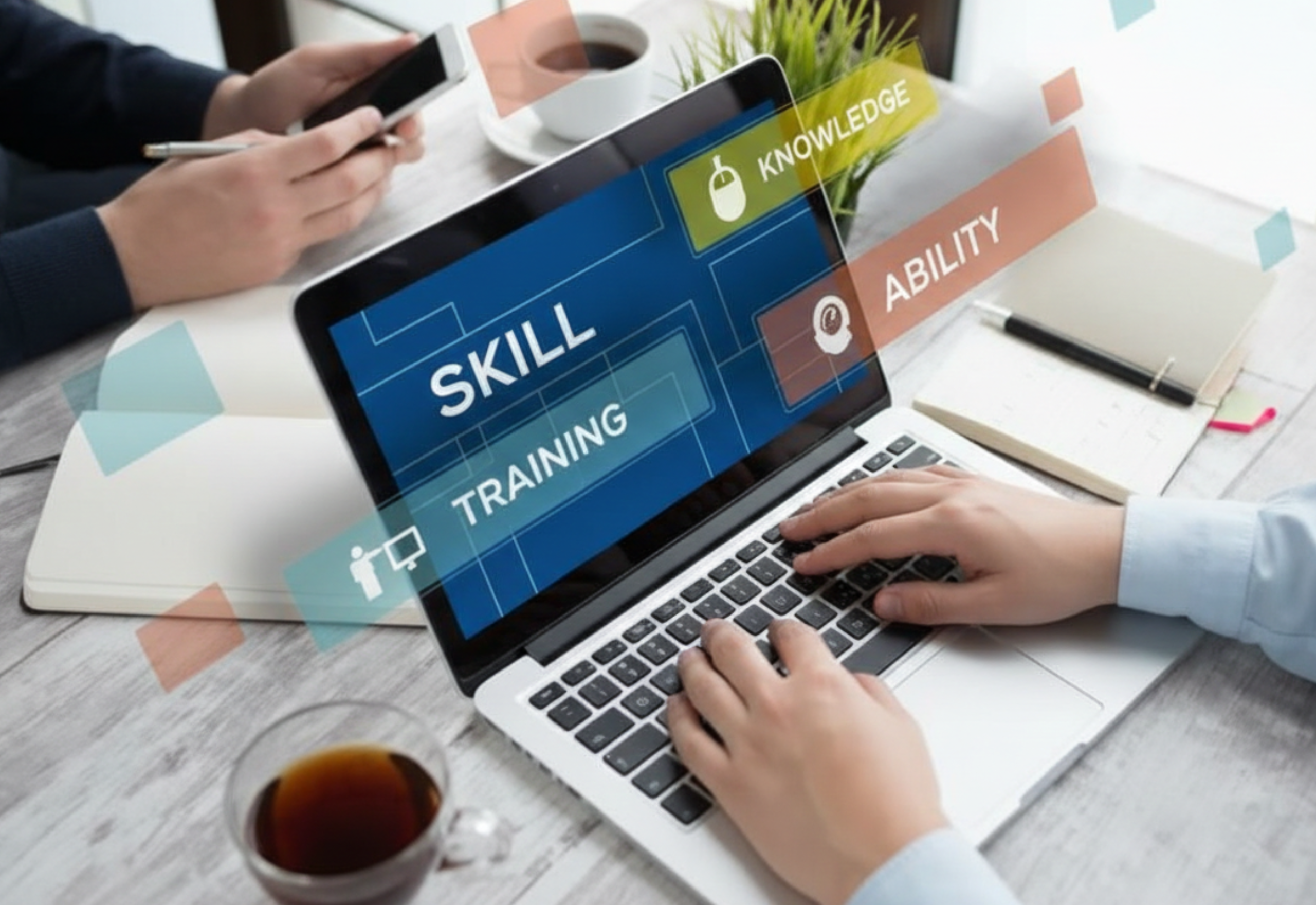 Categories your paragraph text 2026 01 14t005226.880